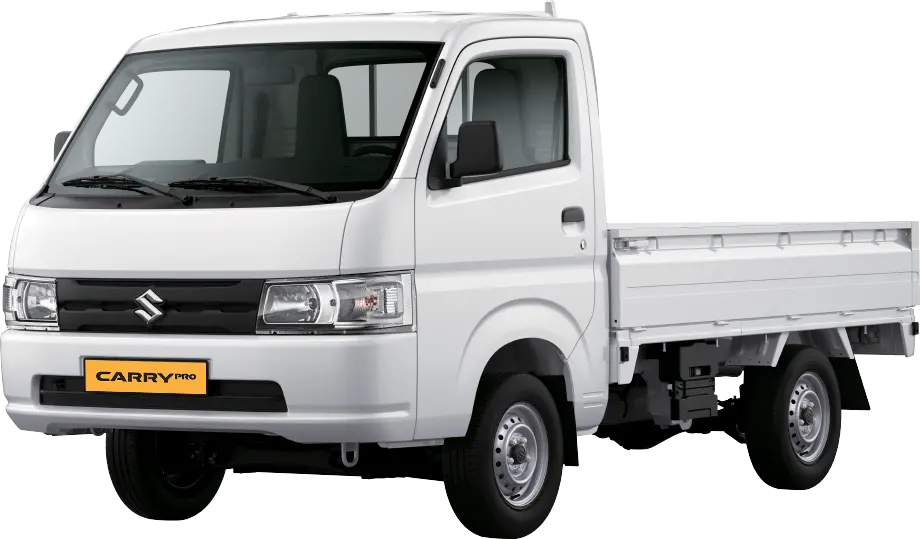 Suzuki Carry Pro