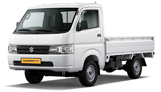 Suzuki Carry Pro